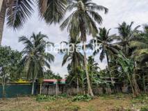 Land For Sale In Yakkala